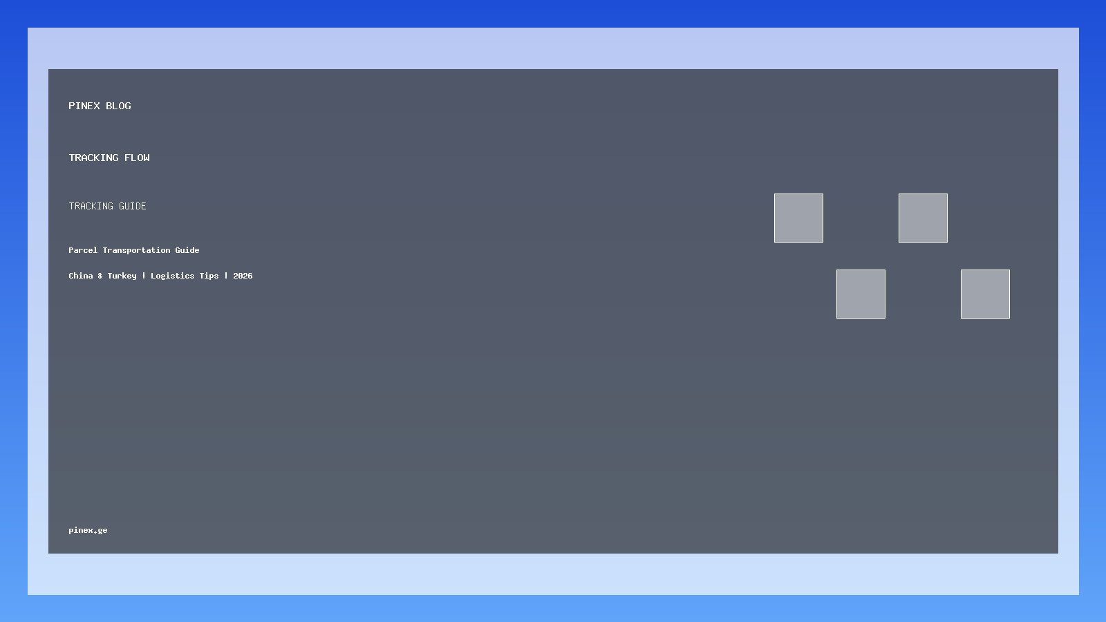 ამანათის ტრეკინგი PINEX-ზე: სრული პრაქტიკული გამოყენება - PINEX