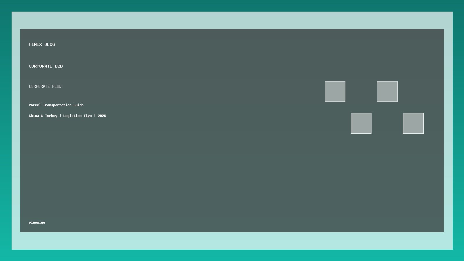 კორპორატიული მომხმარებლებისთვის ლოგისტიკის ოპტიმიზაცია - PINEX